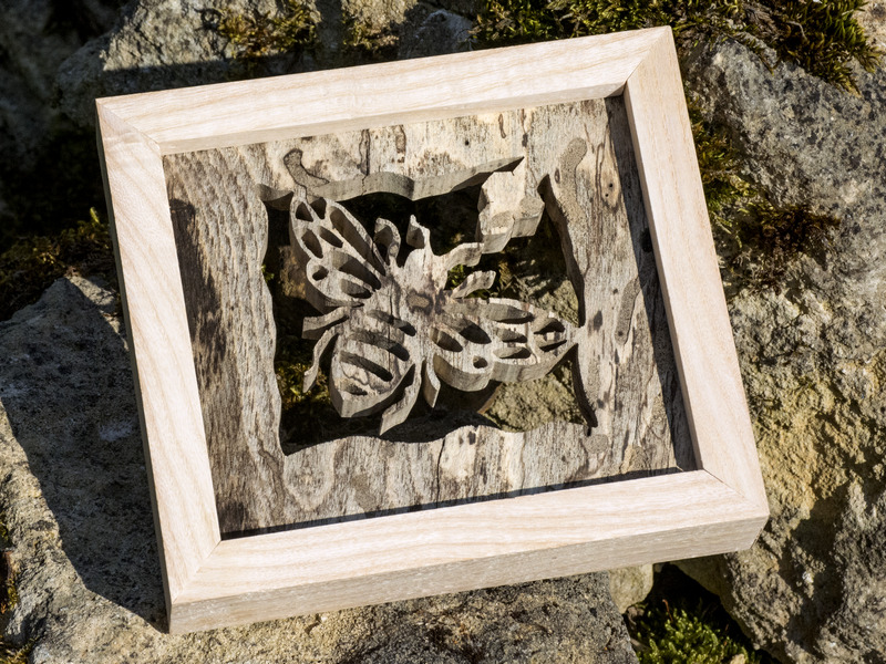 abeille cadre frene echauffe 3 800 600