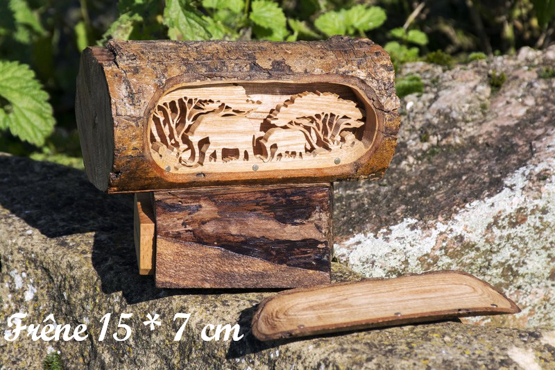 buche elephant savane rettt 800 600 leg ok