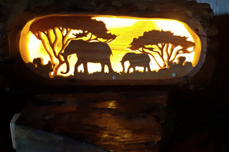 buche savane 2 lum ok 800 533