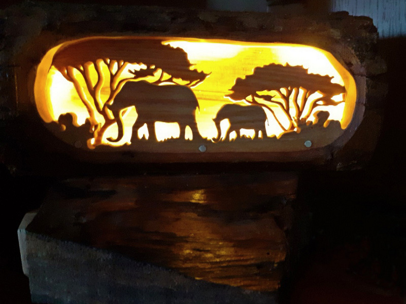 buche savane 2 lum ok 800 600