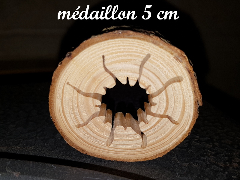 medaillon soleil 800 600 leg ok