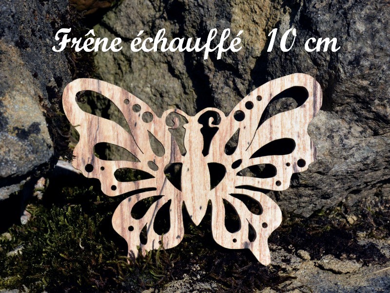 papillon leg ok 800 600